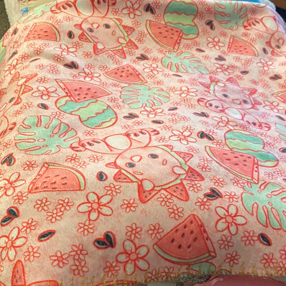 Adorable Pink and Green baby Blanket